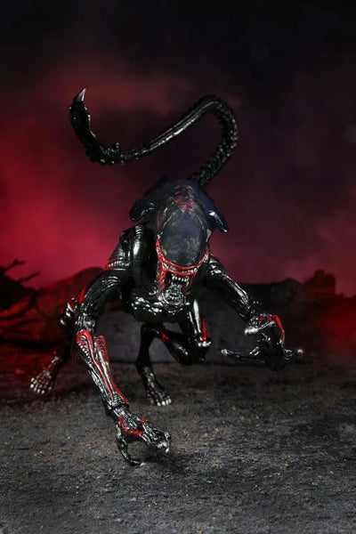 Alien / 7 Inch Action Figure Series Kenner Tribute: Night Cougar Alienㅤ – NECA – ActionFigureBrasil — detalhe do produto