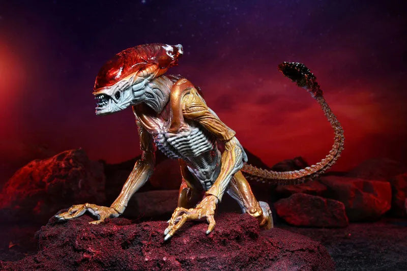 Alien / 7 Inch Action Figure Series Kenner Tribute: Panther Alienㅤ – NECA – ActionFigureBrasil