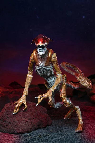 Alien / 7 Inch Action Figure Series Kenner Tribute: Panther Alienㅤ – NECA – ActionFigureBrasil — detalhe do produto
