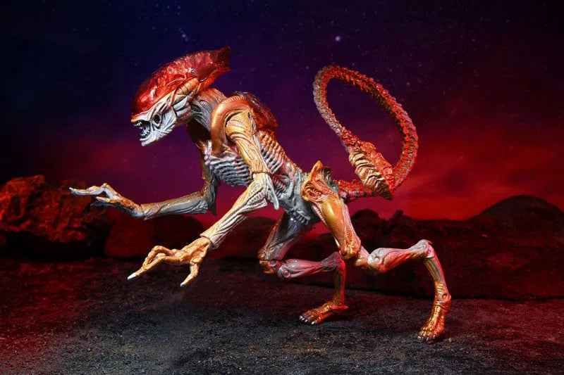Alien / 7 Inch Action Figure Series Kenner Tribute: Panther Alienㅤ – NECA – ActionFigureBrasil