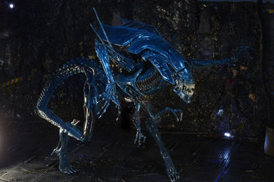 Alien 7 Inch Action Figure Series Ultra Deluxe - Alien Queenㅤ – NECA – ActionFigureBrasil — acessórios