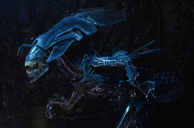Alien 7 Inch Action Figure Series Ultra Deluxe - Alien Queenㅤ – NECA – ActionFigureBrasil — com base expositora