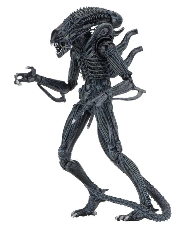 Alien - Alien Warrior Ultimate 7 Inch Action Figure: 2Type Set(Provisional Pre-order)ㅤ – NECA – ActionFigureBrasil