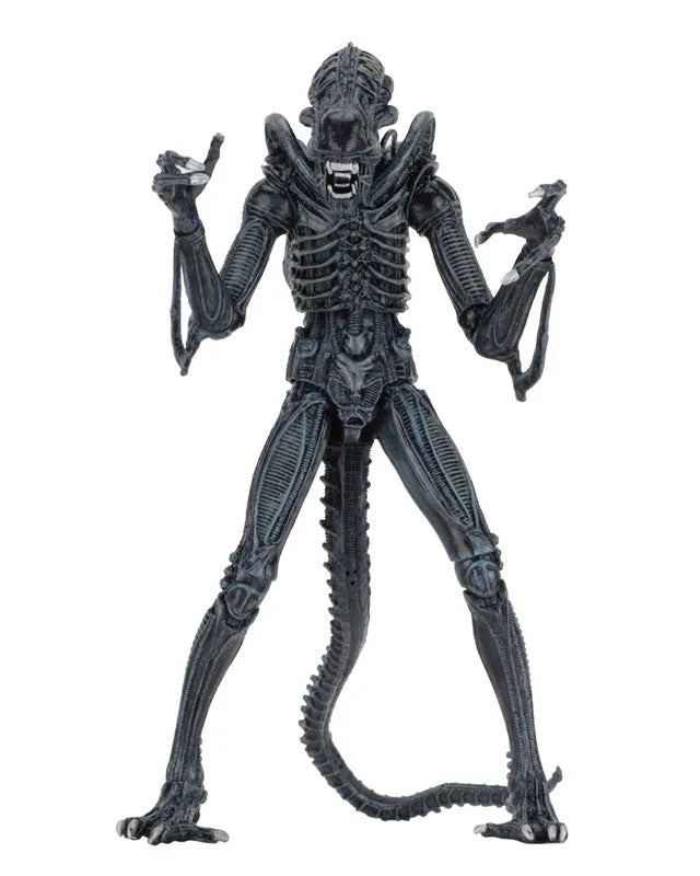 Alien - Alien Warrior Ultimate 7 Inch Action Figure: 2Type Set(Provisional Pre-order)ㅤ – NECA – ActionFigureBrasil