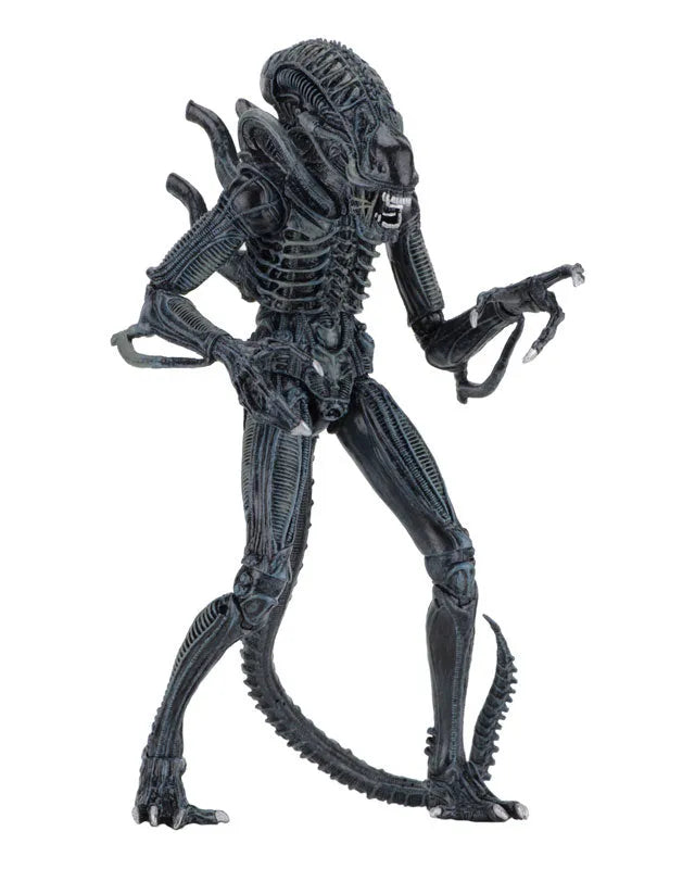 Alien - Alien Warrior Ultimate 7 Inch Action Figure: 2Type Set(Provisional Pre-order)ㅤ – NECA – ActionFigureBrasil