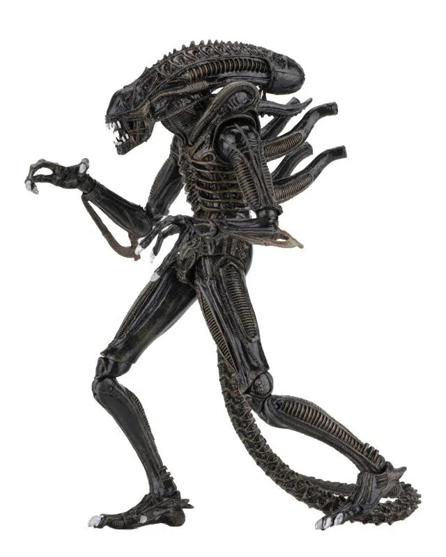 Alien - Alien Warrior Ultimate 7 Inch Action Figure: 2Type Set(Provisional Pre-order)ㅤ – NECA – ActionFigureBrasil