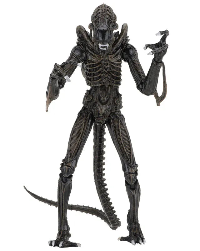 Alien - Alien Warrior Ultimate 7 Inch Action Figure: 2Type Set(Provisional Pre-order)ㅤ – NECA – ActionFigureBrasil