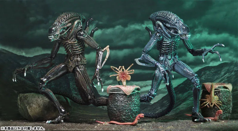 Alien - Alien Warrior Ultimate 7 Inch Action Figure: 2Type Set(Provisional Pre-order)ㅤ – NECA – ActionFigureBrasil
