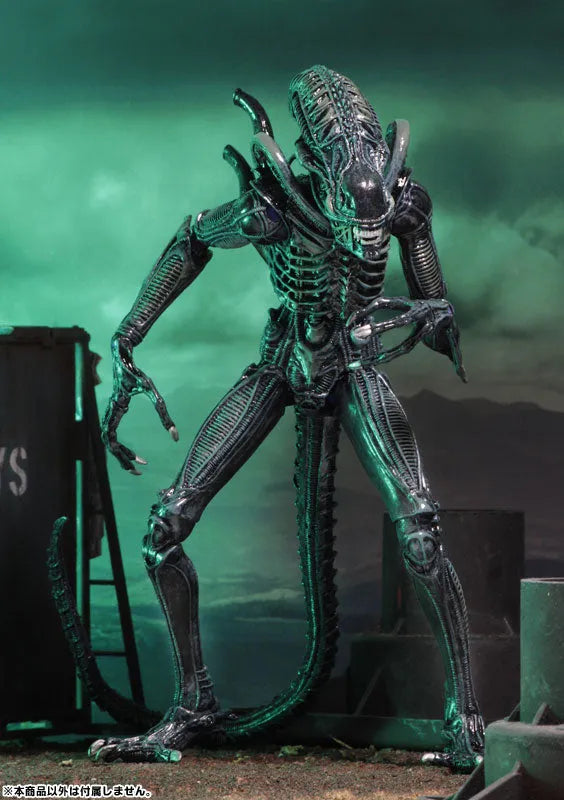 Alien - Alien Warrior Ultimate 7 Inch Action Figure: 2Type Set(Provisional Pre-order)ㅤ – NECA – ActionFigureBrasil