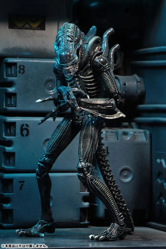 Alien - Alien Warrior Ultimate 7 Inch Action Figure: 2Type Set(Provisional Pre-order)ㅤ – NECA – ActionFigureBrasil