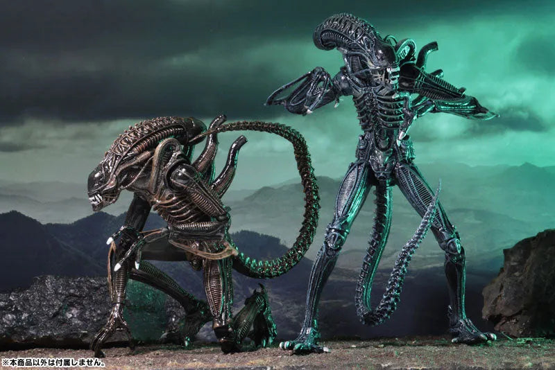 Alien - Alien Warrior Ultimate 7 Inch Action Figure: 2Type Set(Provisional Pre-order)ㅤ – NECA – ActionFigureBrasil