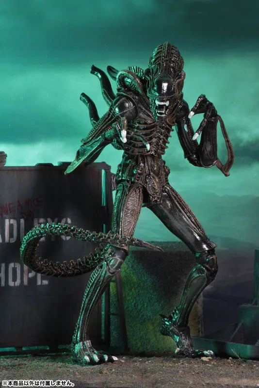 Alien - Alien Warrior Ultimate 7 Inch Action Figure: 2Type Set(Provisional Pre-order)ㅤ – NECA – ActionFigureBrasil