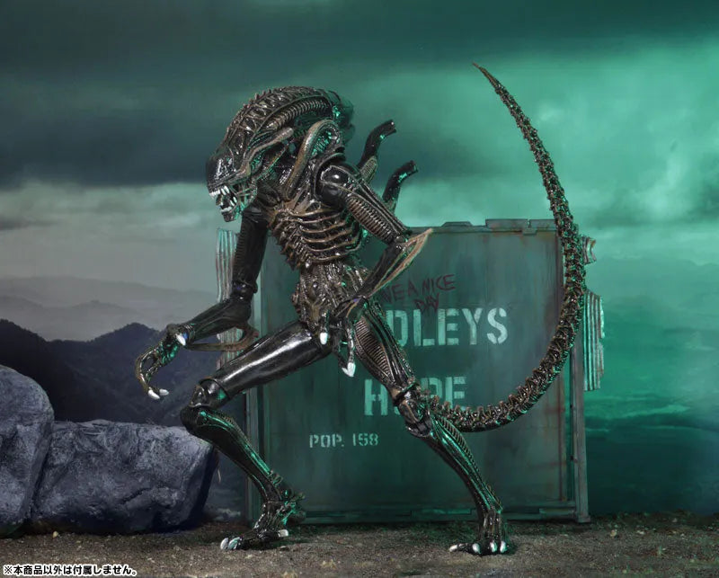 Alien - Alien Warrior Ultimate 7 Inch Action Figure: 2Type Set(Provisional Pre-order)ㅤ – NECA – ActionFigureBrasil
