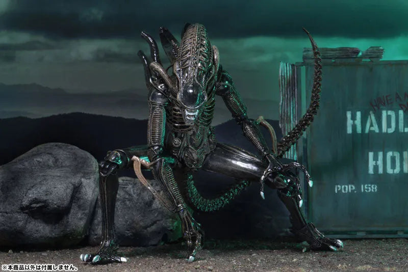 Alien - Alien Warrior Ultimate 7 Inch Action Figure: 2Type Set(Provisional Pre-order)ㅤ – NECA – ActionFigureBrasil