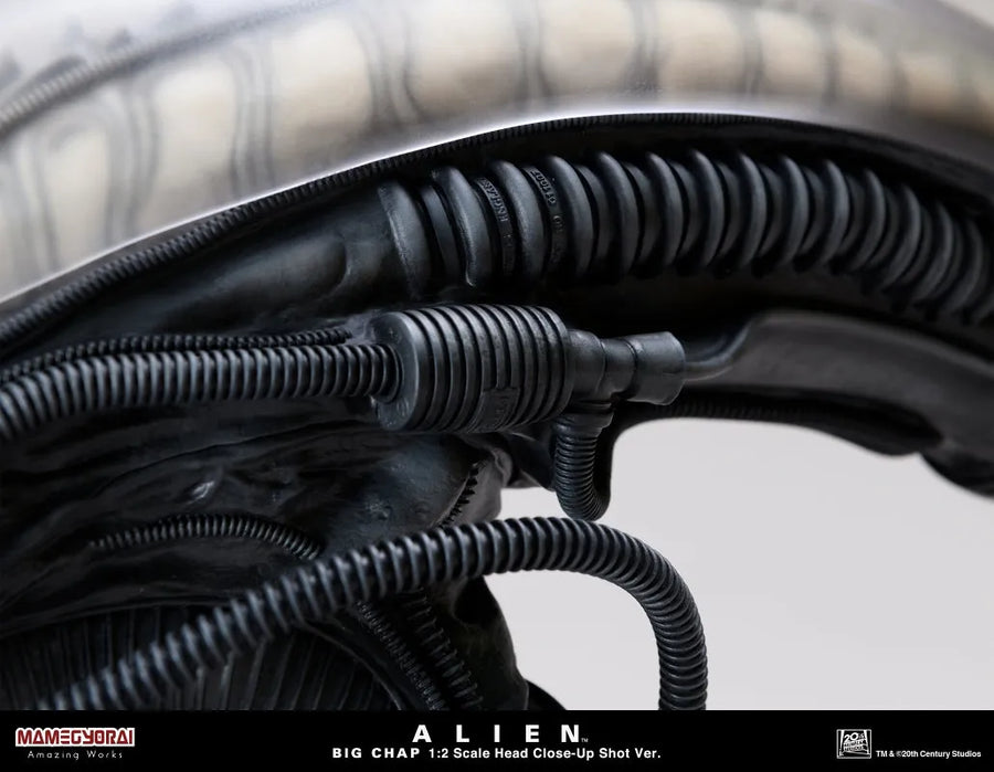 Alien - Big Chap - 1/2 - Head Closeup Shot Ver. (Mamegyorai) [Shop Exclusive]ㅤ – Mamegyorai – ActionFigureBrasil