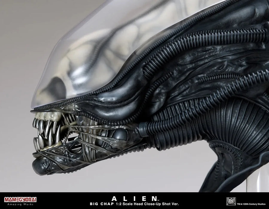 Alien - Big Chap - 1/2 - Head Closeup Shot Ver. (Mamegyorai) [Shop Exclusive]ㅤ – Mamegyorai – ActionFigureBrasil