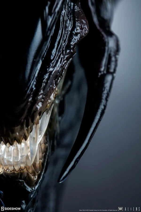 Alien Queen - Mythos - LIMITED EDITION: 250 – Sideshow Collectibles – ActionFigure Brasil