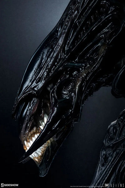 Alien Queen - Mythos - LIMITED EDITION: 250 – Sideshow Collectibles – ActionFigure Brasil — iluminação de estúdio