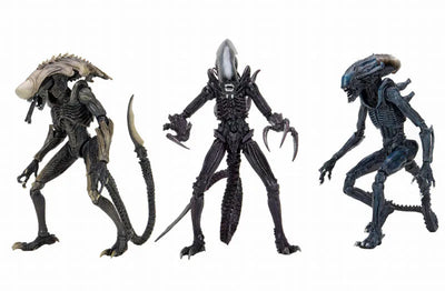 Alien VS Predator / 7 Inch Action Figure Alien Series Movie Decoration: Set of 3Typesㅤ – NECA – ActionFigureBrasil