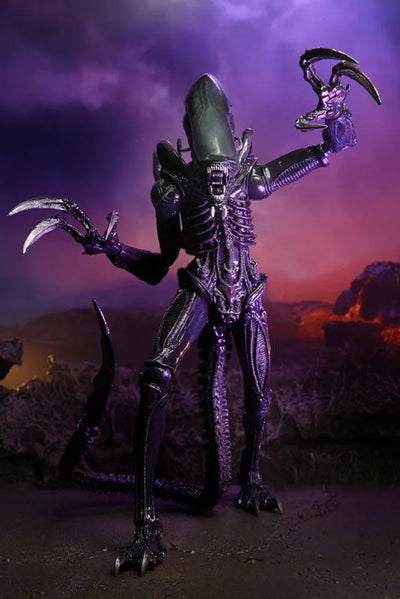 Alien VS Predator / 7 Inch Action Figure Alien Series Movie Decoration: Set of 3Typesㅤ – NECA – ActionFigureBrasil — close