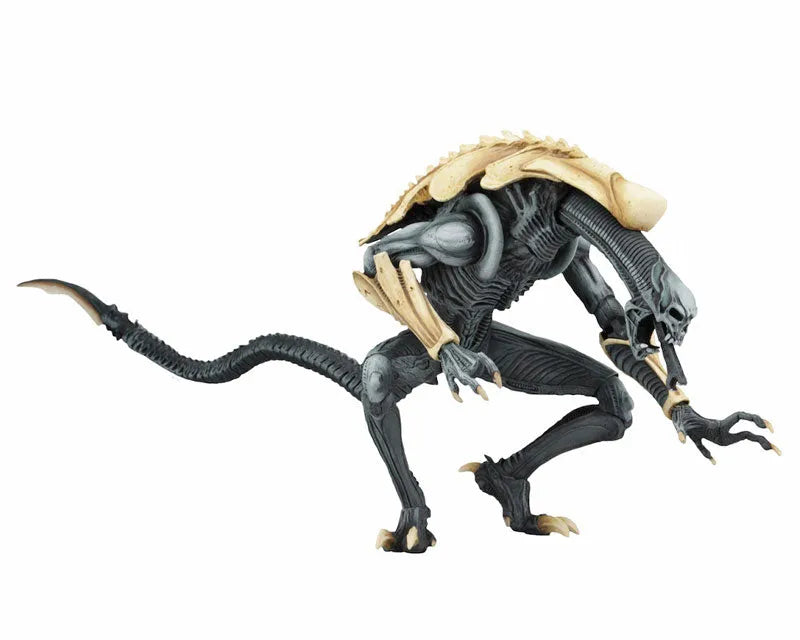 Alien VS Predator Arcade / 7 Inch Action Figure Alien Side: 3Type Setㅤ – NECA – ActionFigureBrasil