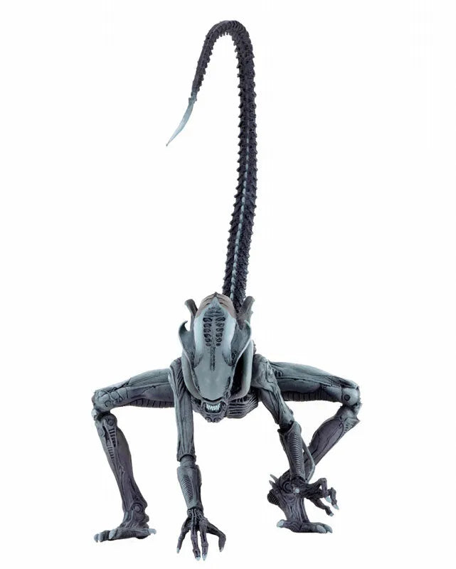 Alien VS Predator Arcade / 7 Inch Action Figure Alien Side: 3Type Setㅤ – NECA – ActionFigureBrasil