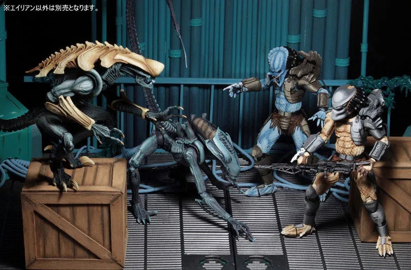 Alien VS Predator Arcade / 7 Inch Action Figure Alien Side: 3Type Setㅤ – NECA – ActionFigureBrasil