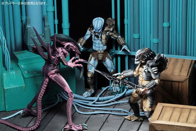Alien VS Predator Arcade / 7 Inch Action Figure Predator Side: 3Type Setㅤ – NECA – ActionFigureBrasil — embalagem