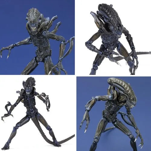 Aliens - Alien Warrior - Revoltech - Revoltech SFX #016 (Kaiyodo)ㅤ – Kaiyodo – ActionFigureBrasil