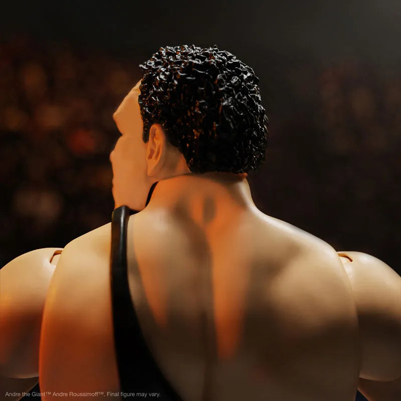 Andre the Giant Ultimate 8 Inch Action Figure ver.3ㅤ – Super7 – ActionFigureBrasil