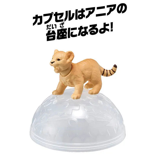 Ania AC-01 Lion (Cub)ㅤ – Takara Tomy – ActionFigureBrasil