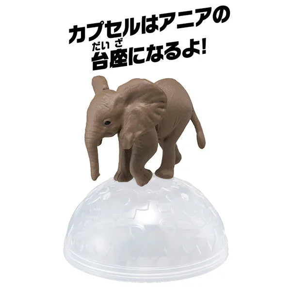 Ania AC-02 Elephant (Child)ㅤ – Takara Tomy – ActionFigureBrasil
