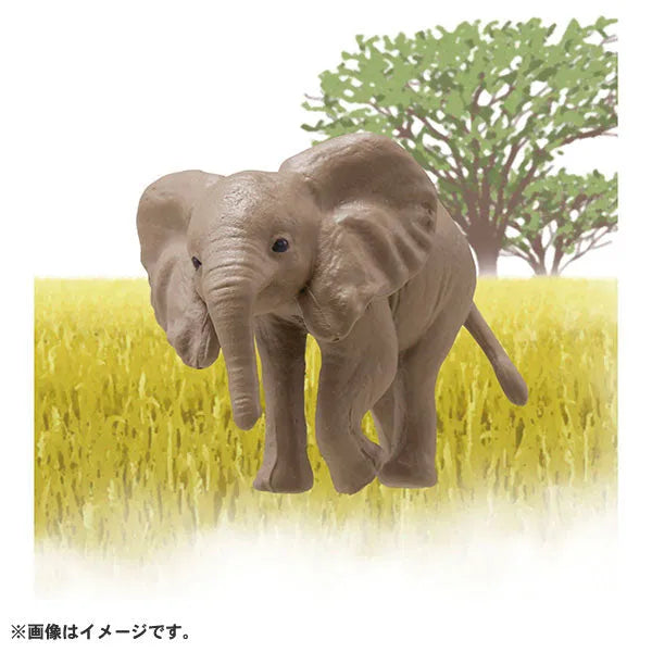 Ania AC-02 Elephant (Child)ㅤ – Takara Tomy – ActionFigureBrasil