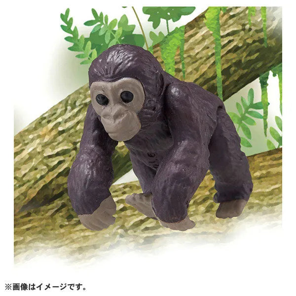 Ania AC-03 Gorilla (Child)ㅤ – Takara Tomy – ActionFigureBrasil