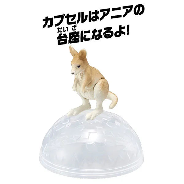 Ania AC-05 Kangaroo (Child)ㅤ – Takara Tomy – ActionFigureBrasil