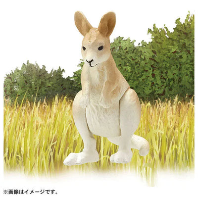 Ania AC-05 Kangaroo (Child)ㅤ – Takara Tomy – ActionFigureBrasil — close