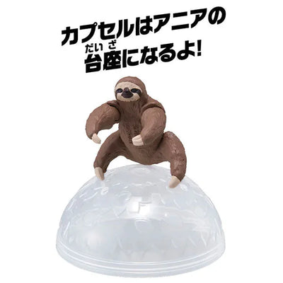 Ania AC-06 Sloth (Child)ㅤ – Takara Tomy – ActionFigureBrasil