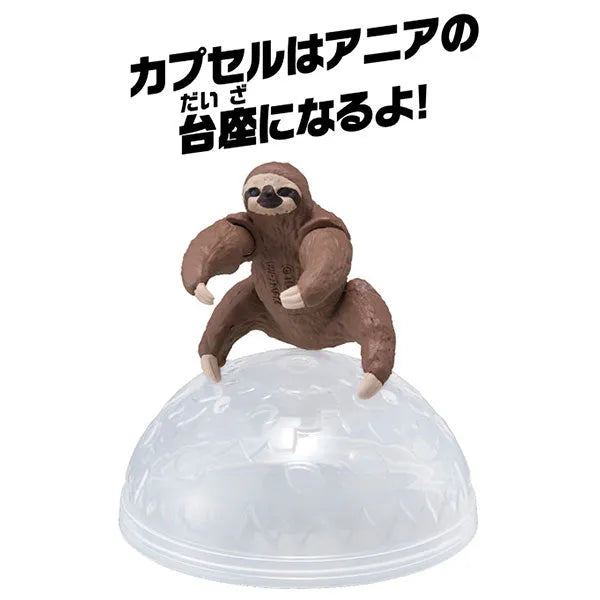 Ania AC-06 Sloth (Child)ㅤ – Takara Tomy – ActionFigureBrasil