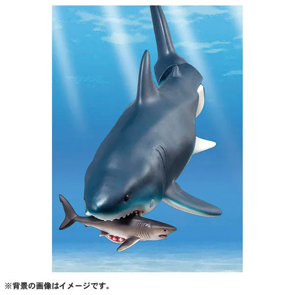 Ania AL-11 Megalodon (Floating in Water Ver.)ㅤ – Takara Tomy – ActionFigureBrasil