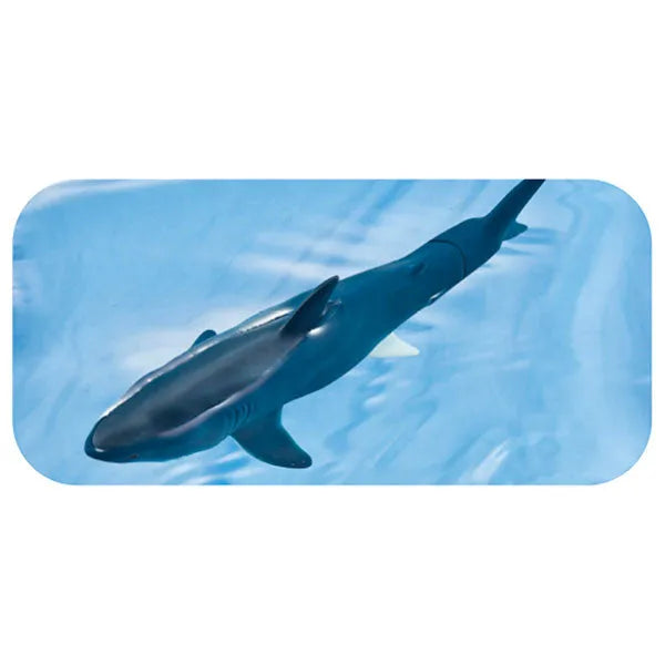 Ania AL-11 Megalodon (Floating in Water Ver.)ㅤ – Takara Tomy – ActionFigureBrasil