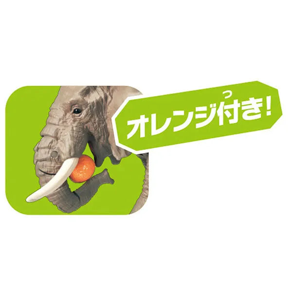 Ania AS-02 African Elephant (w/Orange)ㅤ – Takara Tomy – ActionFigureBrasil