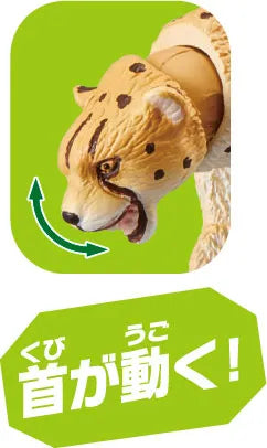 Ania AS-13 Cheetah (Wild Ver.)ㅤ – Takara Tomy – ActionFigureBrasil