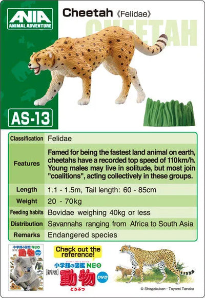 Ania AS-13 Cheetah (Wild Ver.)ㅤ – Takara Tomy – ActionFigureBrasil — acessórios
