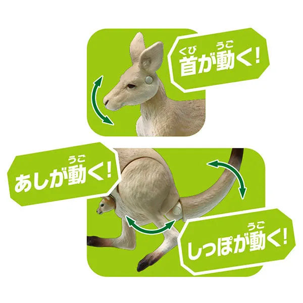Ania AS-21 Giant Kangarooㅤ – Takara Tomy – ActionFigureBrasil
