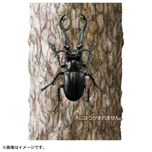 Ania AS-40 Giraffe Stag Beetleㅤ – Takara Tomy – ActionFigureBrasil