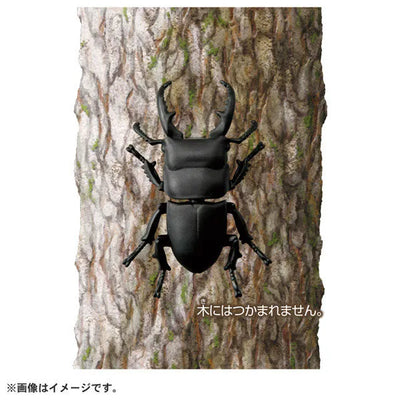 Ania AS-41 Dorcus Titanusㅤ – Takara Tomy – ActionFigureBrasil — ângulo diferente