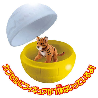Ania Gacha and Korokoro Capsule 2 12Pack BOXㅤ – Takara Tomy – ActionFigureBrasil