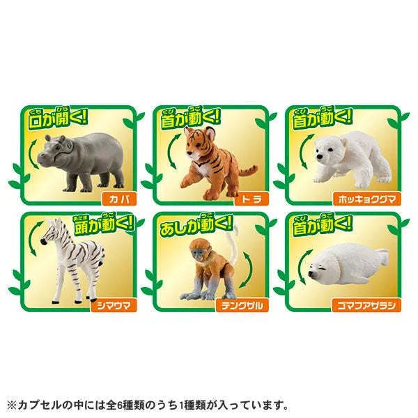 Ania Gacha and Korokoro Capsule 2 12Pack BOXㅤ – Takara Tomy – ActionFigureBrasil