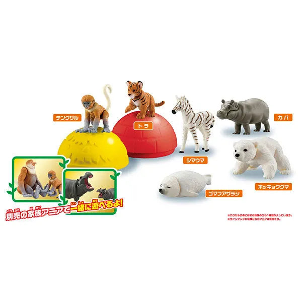 Ania Gacha and Korokoro Capsule 2 12Pack BOXㅤ – Takara Tomy – ActionFigureBrasil