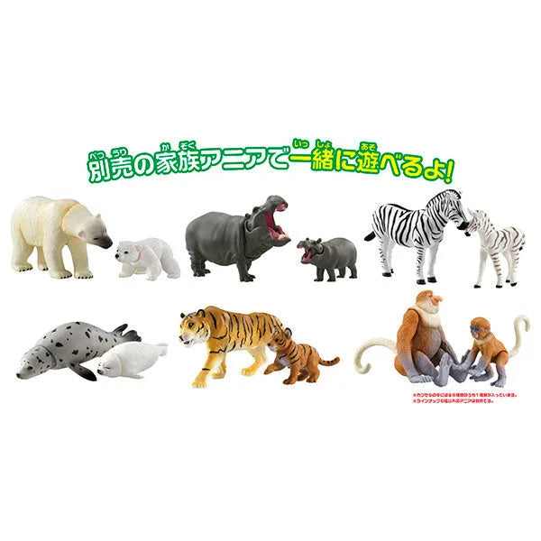 Ania Gacha and Korokoro Capsule 2 12Pack BOXㅤ – Takara Tomy – ActionFigureBrasil